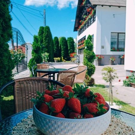 Pensiunea Casa Andreea - Barsana Maramures Bîrsana Exterior foto