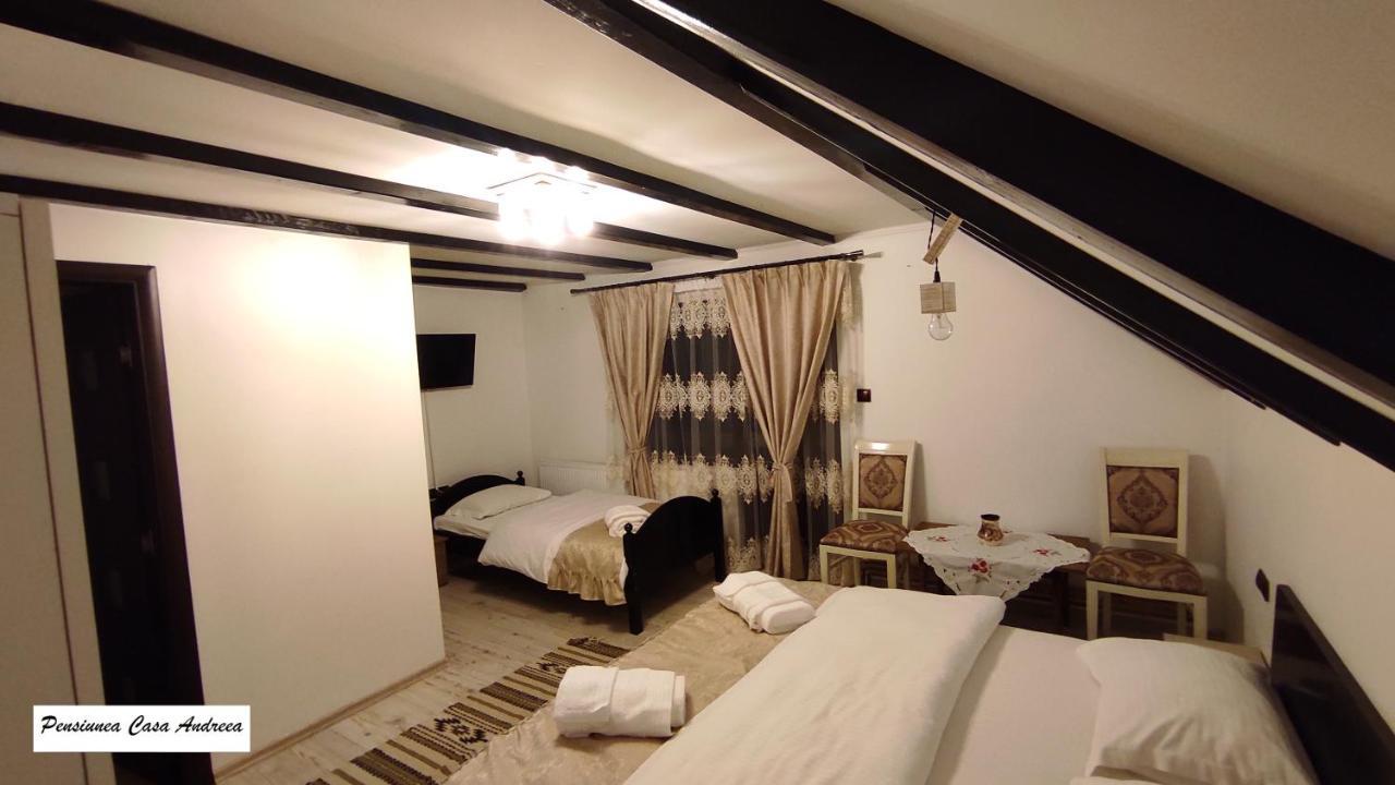 Pensiunea Casa Andreea - Barsana Maramures Bîrsana Exterior foto