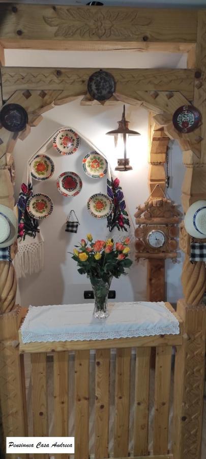Pensiunea Casa Andreea - Barsana Maramures Bîrsana Exterior foto