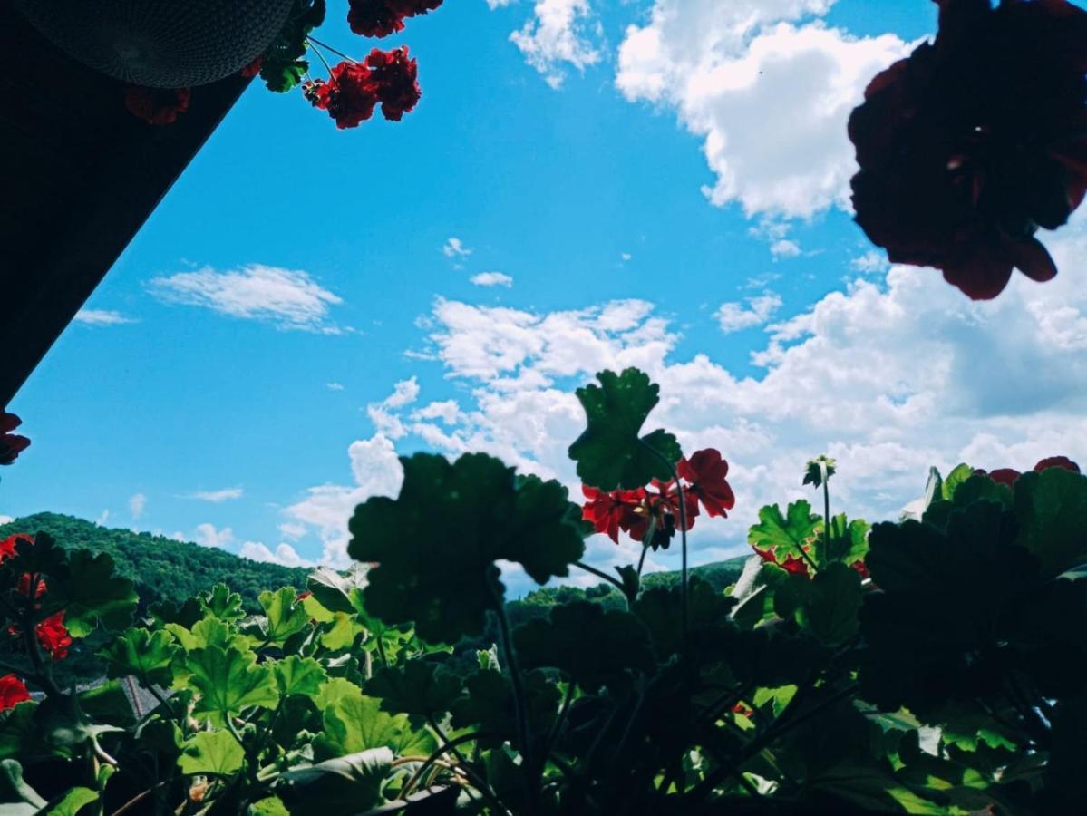 Pensiunea Casa Andreea - Barsana Maramures Bîrsana Exterior foto